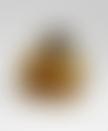 Stempelplastik (Schellmann 417) (preview)