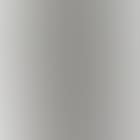 Untitled (Nude study, Lee Nevin) (preview)