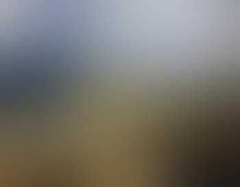 Chat on the Shore, Galway (preview)