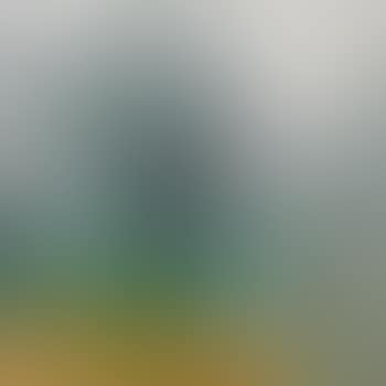 Spring Landscape (preview)