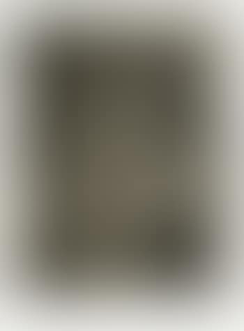Figure 2, from Black Numeral Series (ULAE 46. G.89) (preview)