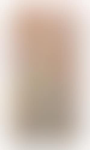 Ohne Titel (Forms and change) (preview)