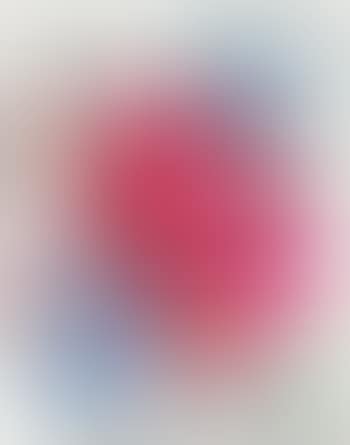 Plakatentwurf für die Ausstellung 'Nachtschattengewächse', Kunsthaus Wien (preview)