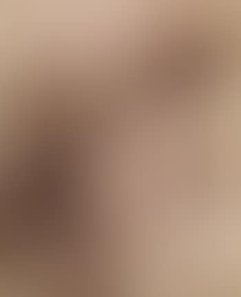 Ancien convent des carmelites (preview)