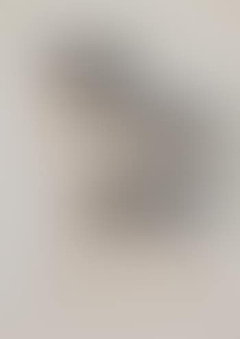 Ohne Titel (Linien) (preview)