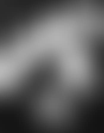 Ohne Titel (Photogramm) (preview)