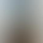 A mare and a stallion in front of a house (preview)