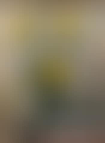 Trois jonquilles dans un verre (preview)