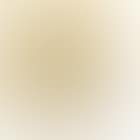Pucci pants (preview)