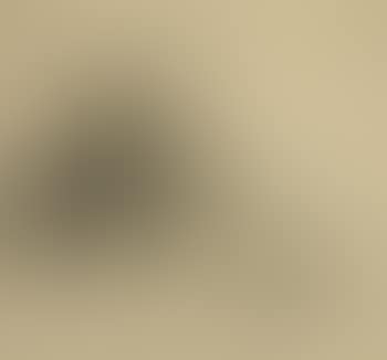 Study of two ladies (preview)