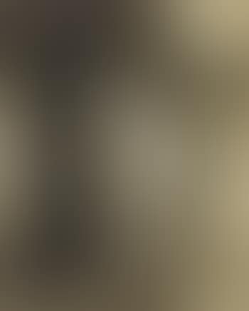 Study for sunset (preview)