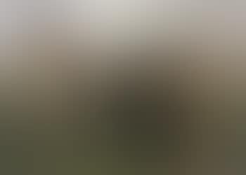 Muhle am Fluss (preview)