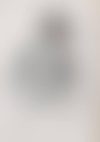 Portrait of Countess Markievicz (preview)