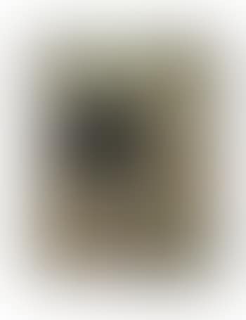 Untitled (preview)