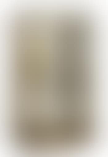 Untitled (Aviary) (preview)