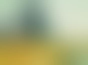 An August morning (preview)