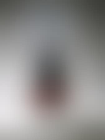 Violon brule dans resine (preview)