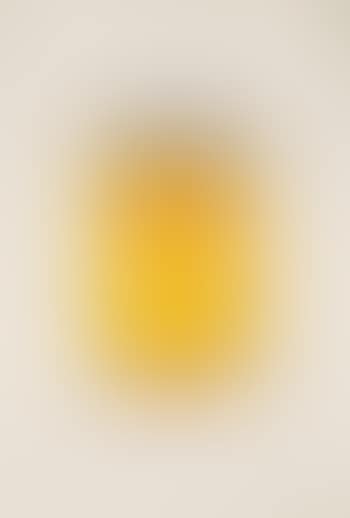 Soup can (preview)