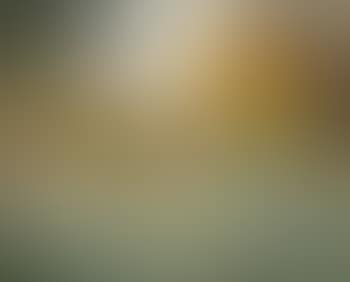 Paysage aux Arbres (preview)
