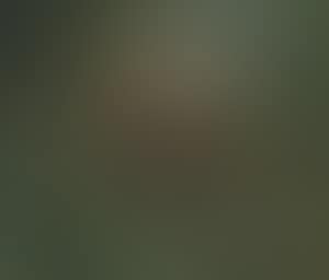 Drei Reiter am Waldbach (preview)