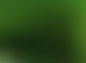 Ohne Titel (preview)