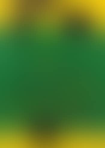 Ohne Titel (preview)