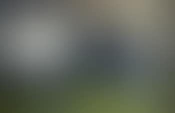 Figures in a landscape (preview)