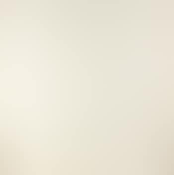Grille-collor blanc II (preview)