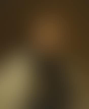 Bauerndirndl (preview)
