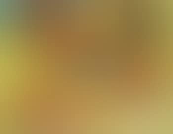 Primrose Hill (preview)