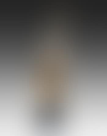 Violin Decoupé (preview)