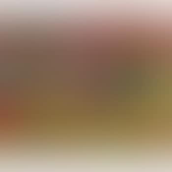 Fleurs et fruits (preview)