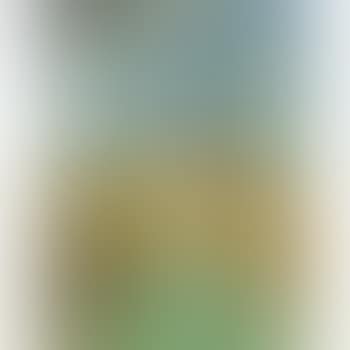 Portrait de Madame Schlumberger (preview)