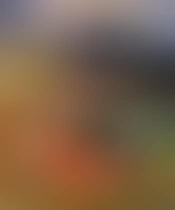 Landschaft mit rotem Feld (preview)