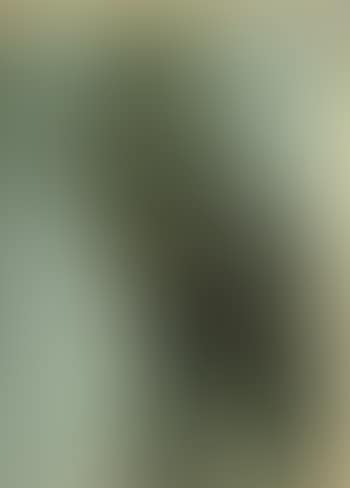 Hombre de fuego (preview)