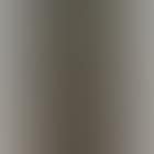 La paleta de Rembrandt (Rembrandt's palette) (preview)