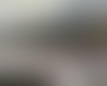 Blick auf Spitz in der Wachau (preview)