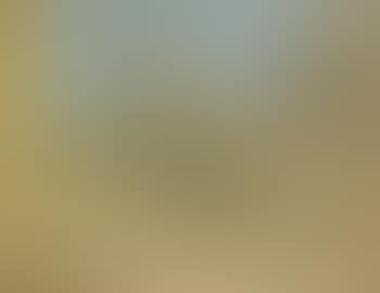 Paysage (preview)