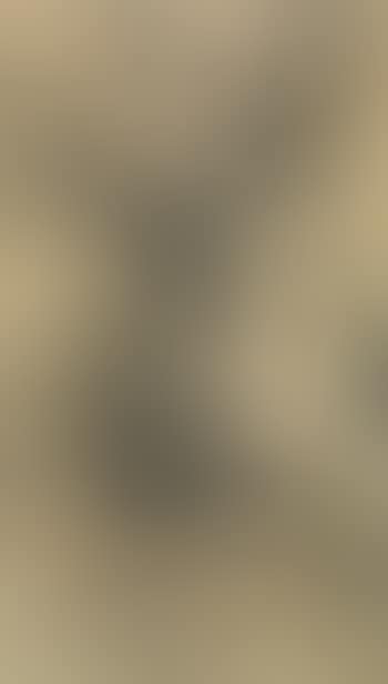 La fileuse (preview)