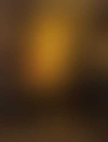 A good vintage (preview)