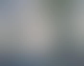 Landscape in Spring (preview)