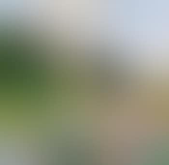 Schloss Maissauen (preview)