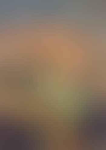 Dolomiten (preview)