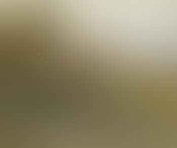 A river landscape with boatman (preview)
