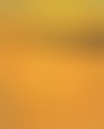 (Sonne) Felder. Strahlung (preview)