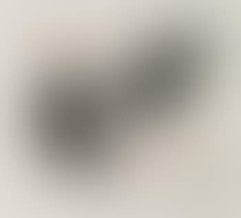 No. 2, from Dog Wall series (preview)