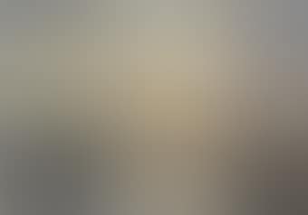 Mallard alighting, Thurne, Norfolk (preview)