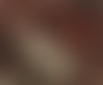 No 10 (preview)