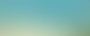 On the coast of Long Island (preview)