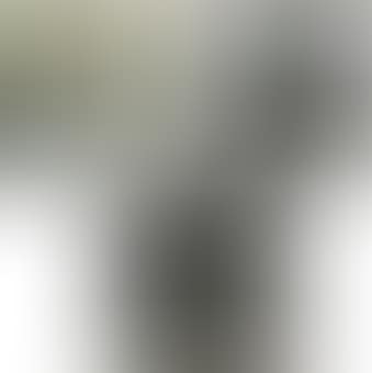 Landscapes (preview)